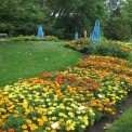 Landscape Development Service