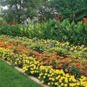 Landscape Development Service