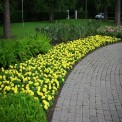 Landscape Development Service
