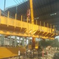 Liftwell Hydraulic Steel Mill Duty Crane, For Industrial