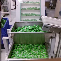 Link Belt Conveyor