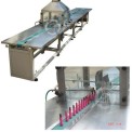Lipstick Inspection Conveyor