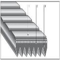 Material Banded V Belt Polyurethane V Belts, Section: Angle, Angle: Section