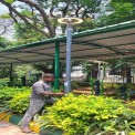 Mild Steel Garden Pole