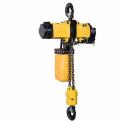 Mild Steel Manual Chain Hoist, 250 Kg