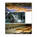 Modular Chain Conveyor