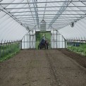 Modular Walk In Tunnel Polyhouse, Film