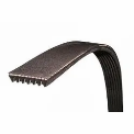 Multi Ribbed V Belt