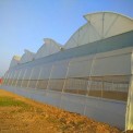 Naturally Ventilated Poly House