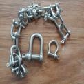 Nut-Bolt Type Stainless Steel Dee Shackle