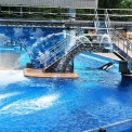 Outdoor As Well As Indoor Swimming Pool Fountain