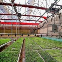 Panel Build Dome Shaped Hi Tech Greenhouse, For Agriculture