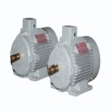 Pavitra 2 Hp 3 Phase 1440rpm 440volts Foot Mounted Electric Motor