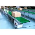 Phoenix PVC Packing Belt Conveyor, Material Handling Capacity: 50-80 kg/m
