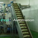 Pico Automation Stainless Steel Side Wall Belt Conveyors, 3 Hp