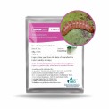 Pink Bollworm, For Agriculture, Packaging Type: Box