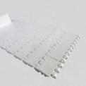 Plastic Conveyor Belt