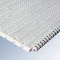 Plastic Conveyor Belt