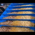 Plastic Food Grade Belt Conveyor System