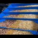 Plastic Food Grade Belt Conveyor System