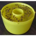 Plastic Insect Fly Trap, For Agriculture, Packaging Type: Box