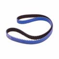Poly Chain Belt