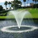 Pond Water Lilly Fountains