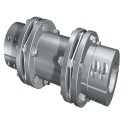 Power Transmission Coupling