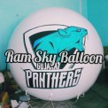 Promotional Air Balloon For Panther