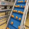 PVC Volta Super Drive Conveyor Belt, Belt Thickness: 3 mm
