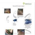 Rack And Create Waste, Fully Digested, Capacity: 100 Kg To 5 Ton