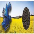Rapeseed Oil Mill Plant