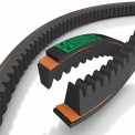 Raw Edge Cogged V Belts