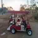 Red 2 Seater Golf Cart