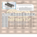 Roller Chain Double Pitch
