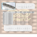 Roller Chain Double Pitch