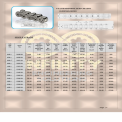 Roller Chain Double Pitch