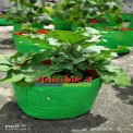 Round Green Garden Grow Bag in Chennai, For Agriculture