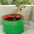 Round Green HDPE Grow Bag 18"" X 18""(200 GSM), For Flowers