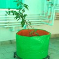 Round Green HDPE Grow Bag 18"" X 18""(200 GSM), For Flowers