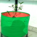 Round Green HDPE Grow Bag 18"" X 18""(200 GSM), For Flowers
