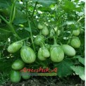 Round HDPE Grow Bag  For Agriculture