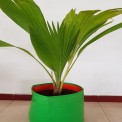 Round Hdpe Grow Bag 12 X 18, For Plant