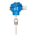 RTD PT1000 Temperature Sensor, -200 to 600 deg C