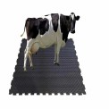 Rubber Cow Mat