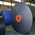 Rubber Fire Resistant Conveyor Belts, Belt Width: 100 - 500 mm, Belt Thickness: 5 - 10 mm