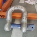 Screw-Pin Type Screw Pin Alloy Steel D Shackle, For Industrial