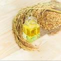 Seeds Wheat Germ Oil, For More