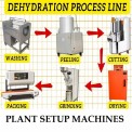 Semi-Automatic Vegetable Dehydration Plant