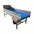 SEW Inspection Belt Conveyor, For Pharma, Material Handling Capacity: 50-100 Kg Per Feet